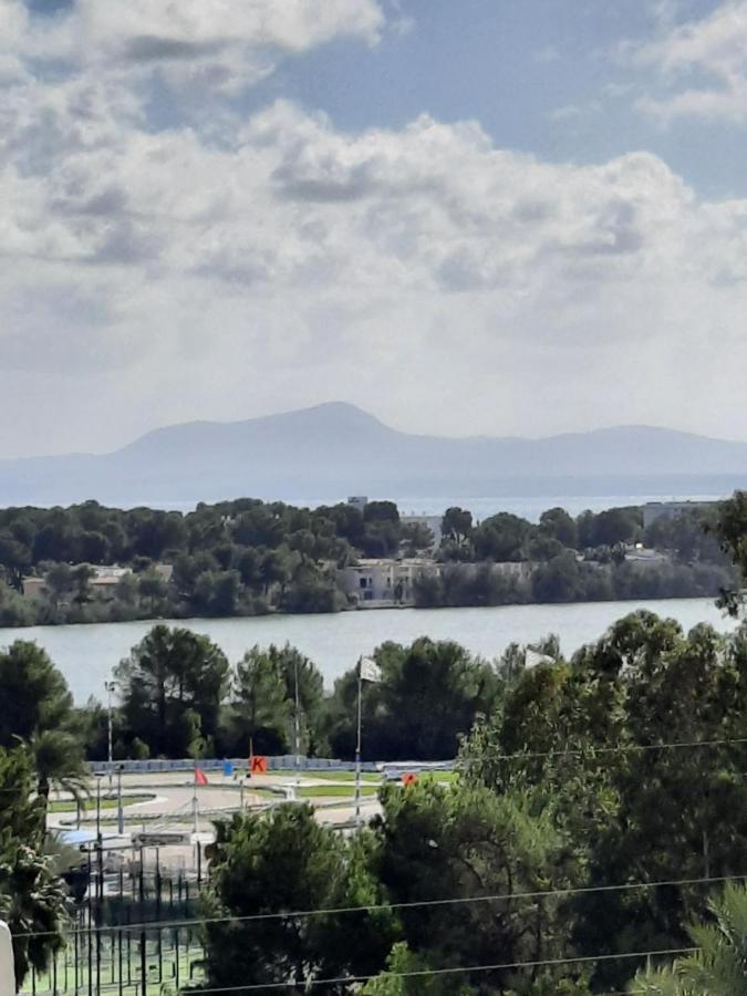 Cozy Estudio "Edificio Siesta 2" Lägenhet Alcudia  Exteriör bild